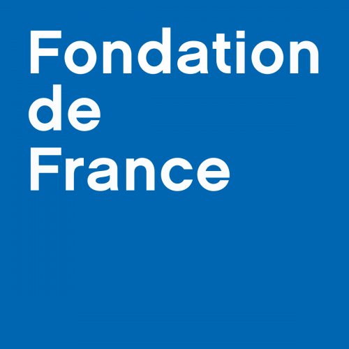 Image Fondation de France